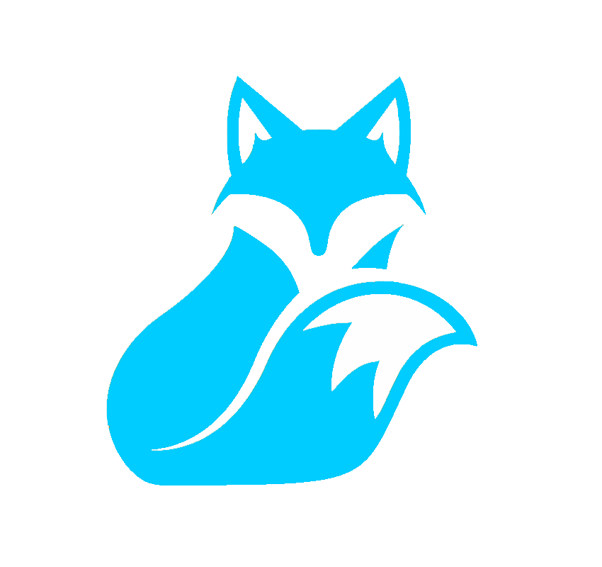 FOX-Insights E-hrm en salarisadministratie voor het MKB